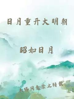 日月重开大明朝